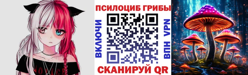 Псилоцибиновые грибы мицелий Камышлов