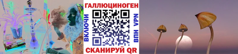 kraken как зайти  Камышлов  Псилоцибиновые грибы мицелий 